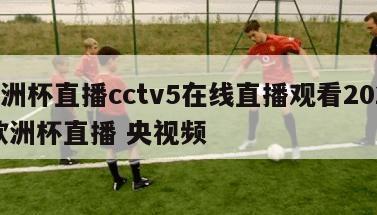 欧洲杯直播cctv5在线直播观看2023,欧洲杯直播 央视频